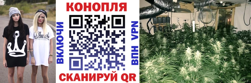 Канабис планчик магазин продажи наркотиков сайты даркнета как зайти Межгорье